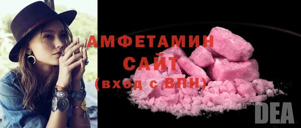 хмурый Болотное
