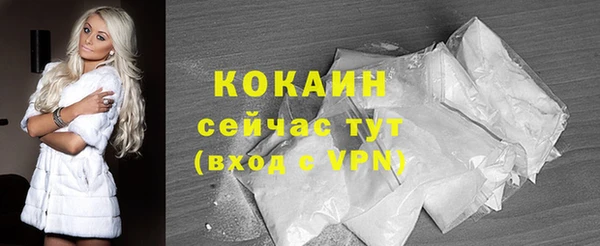 дмт Осинники