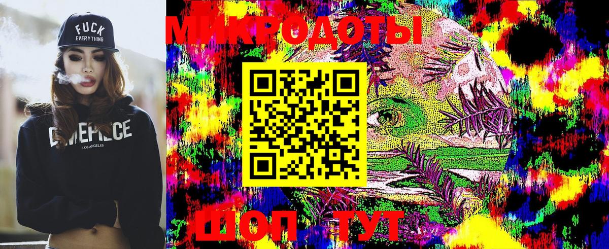 Галлюциногенные грибы Psilocybe Новотроицк
