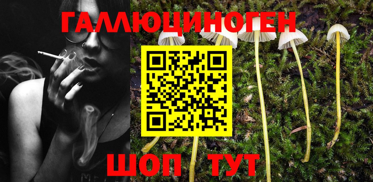 купить закладку  Псилоцибиновые грибы Cubensis  Вход с VPN  Новотроицк 