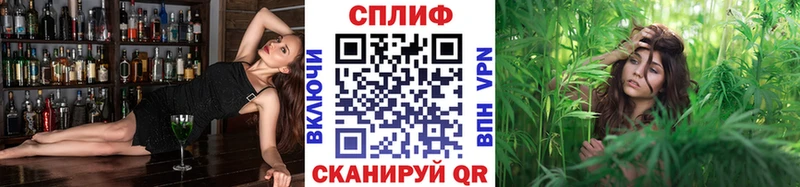 Марихуана сатива  Новотроицк 
